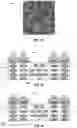 Fig. 16 - Microelectronic structures including bridges