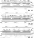 Fig. 23 - LED chips and devices with textured light-extracting portions, and fabrication methods