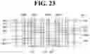 Fig. 24 - Display device