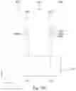 Fig. 99 - Memory device and SRAM cell
