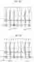 Fig. 07 - LIGHT EMITTING DISPLAY APPARATUS