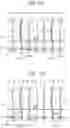 Fig. 13 - LIGHT EMITTING DISPLAY APPARATUS