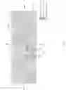Fig. 03 - Image sensing device
