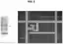 Fig. 08 - Light emitting diode integrated with transition metal dichalcogenide transistor and method for manufacturing the same