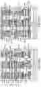 Fig. 33 - Cross-point magnetoresistive random memory array and method of making thereof using self-aligned patterning
