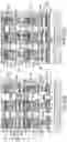 Fig. 35 - Cross-point magnetoresistive random memory array and method of making thereof using self-aligned patterning