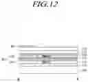 Fig. 13 - ORGANIC LIGHT EMITTING PANEL AND ORGANIC LIGHT EMITTING DISPLAY DEVICE