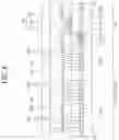 Fig. 07 - Electroluminescence display device including a dummy light emitting layer and a plurality of trenches surrounding the display area