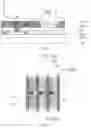 Fig. 07 - Display panel and display device