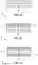 Fig. 02 - CARBON ELECTRODES FOR FERROELECTRIC CAPACITORS