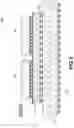 Fig. 11 - INTEGRATED CIRCUIT DEVICE HAVING BACKEND DOUBLE-WALLED CAPACITORS