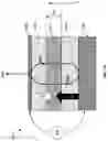 Fig. 110 - METAL OXIDE SEMICONDUCTOR-BASED LIGHT EMITTING DEVICE