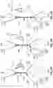 Fig. 19 - METAL OXIDE SEMICONDUCTOR-BASED LIGHT EMITTING DEVICE