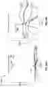 Fig. 47 - METAL OXIDE SEMICONDUCTOR-BASED LIGHT EMITTING DEVICE
