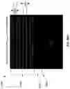 Fig. 77 - METAL OXIDE SEMICONDUCTOR-BASED LIGHT EMITTING DEVICE
