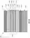 Fig. 82 - METAL OXIDE SEMICONDUCTOR-BASED LIGHT EMITTING DEVICE