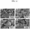 Fig. 09 - COMPOSITION OF PIEZOELECTRIC MATERIAL, METHOD FOR FABRICATING THE SAME, PIEZOELECTRIC DEVICE, AND DISPLAY APPARATUS COMPRISING PIEZOELECTRIC DEVICE