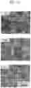 Fig. 11 - COMPOSITION OF PIEZOELECTRIC MATERIAL, METHOD FOR FABRICATING THE SAME, PIEZOELECTRIC DEVICE, AND DISPLAY APPARATUS COMPRISING PIEZOELECTRIC DEVICE