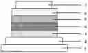 Fig. 02 - ORGANIC ELECTROLUMINESCENT ELEMENT