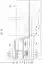 Fig. 09 - Display device with bending protective layer