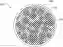 Fig. 01 - Scaffolding matrix with internal nanoparticles