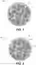 Fig. 02 - Scaffolding matrix with internal nanoparticles