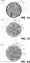 Fig. 08 - Scaffolding matrix with internal nanoparticles
