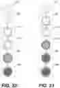 Fig. 13 - Scaffolding matrix with internal nanoparticles