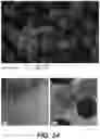 Fig. 14 - Scaffolding matrix with internal nanoparticles