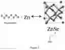 Fig. 03 - Zinc-selenium battery compatible with both organic and aqueous electrolytes