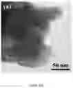 Fig. 11 - Zinc-selenium battery compatible with both organic and aqueous electrolytes