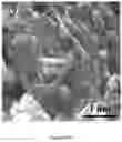 Fig. 13 - Zinc-selenium battery compatible with both organic and aqueous electrolytes