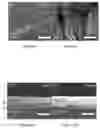 Fig. 10 - Artificial zinc fluoride solid electrolyte interlayer enabled commercial-level aqueous Zn metal batteries