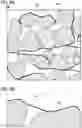 Fig. 04 - POSITIVE ELECTRODE ACTIVE MATERIAL PARTICLE AND MANUFACTURING METHOD OF POSITIVE ELECTRODE ACTIVE MATERIAL PARTICLE