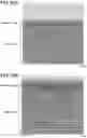 Fig. 30 - POSITIVE ELECTRODE ACTIVE MATERIAL PARTICLE AND MANUFACTURING METHOD OF POSITIVE ELECTRODE ACTIVE MATERIAL PARTICLE