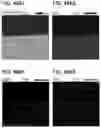 Fig. 49 - POSITIVE ELECTRODE ACTIVE MATERIAL PARTICLE AND MANUFACTURING METHOD OF POSITIVE ELECTRODE ACTIVE MATERIAL PARTICLE