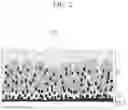 Fig. 03 - All solid state battery and manufacturing method