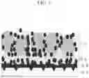 Fig. 08 - All solid state battery and manufacturing method