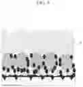 Fig. 10 - All solid state battery and manufacturing method