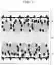 Fig. 11 - All solid state battery and manufacturing method