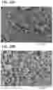 Fig. 23 - Positive Electrode Active Material Particle and Method for Manufacturing Positive Electrode Active Material Particle
