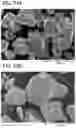 Fig. 25 - Positive Electrode Active Material Particle and Method for Manufacturing Positive Electrode Active Material Particle