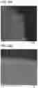 Fig. 31 - Positive Electrode Active Material Particle and Method for Manufacturing Positive Electrode Active Material Particle