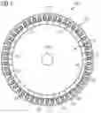 Fig. 02 - STATOR TOOTH WITH ASYMMETRICAL TOOTH GEOMETRY