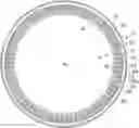 Fig. 01 - STATOR FOR ELECTRICAL MACHINES