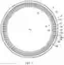 Fig. 02 - STATOR FOR ELECTRICAL MACHINES
