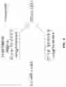 Fig. 05 - Randomization methods in isogeny-based cryptosystems