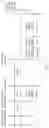 Fig. 02 - Parallel preview stream and callback stream processing method and device
