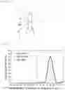 Fig. 06 - Image display apparatus and screen