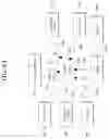 Fig. 45 - Method of transmitting sidelink signal in wireless communication system